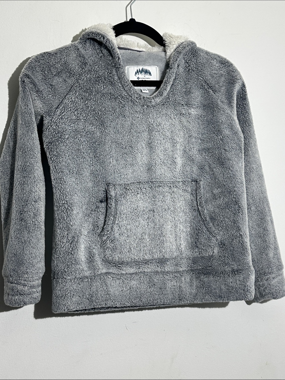 Kids Plush Hooded Sweatshirt - Soft Gray